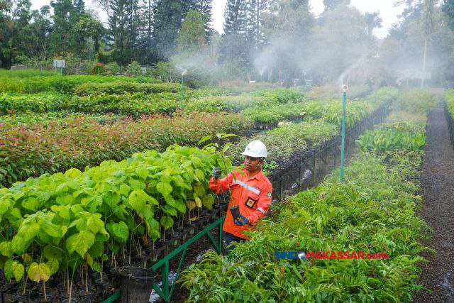 Pusat pembibitan pohon di kawasan pertambangan nikel PT Vale di Soroako, Luwu Timur, Sulawesi Selatan, Minggu (4/8/2024)