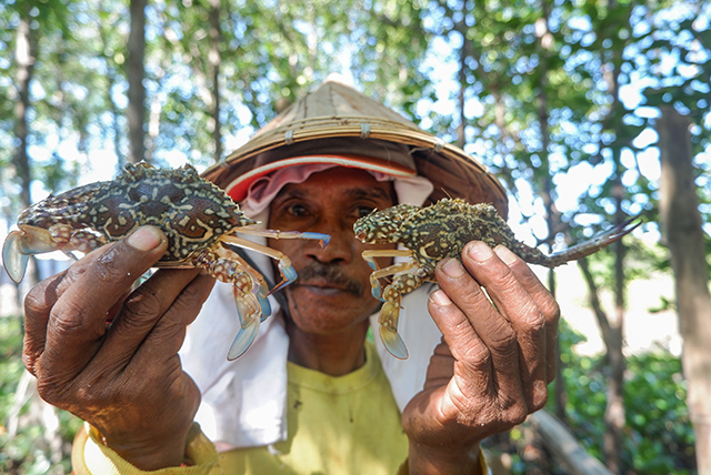 Seorang nelayan meperlihatkan kepiting hasil tangkapannya usai melaut di peisir Kampung Lantebung, Kecamatan Biringkanaya, Makassar, Minggu (18/8/2024).