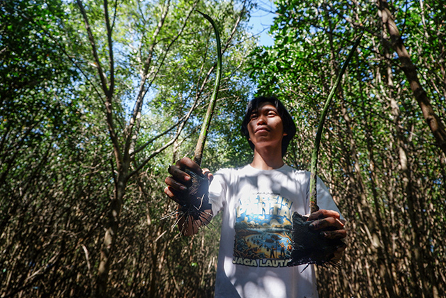 Seorang membawa bibit mangrove untuk ditanam di Kampung Lantebung, Kecamatan Biringkanaya, Makassar, Minggu (18/8/2024).