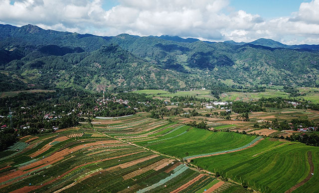 Kegiatan awal berupa pembagian 1.000 benih alpukat unggul kepada petani binaan yang ditanam di lahan seluas 6,8 Ha yang tersebar di beberapa titik.