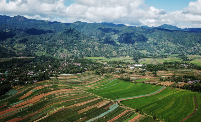 Benih alpukat unggul dibagikan kepada petani binaan. Benih-benih tersebut akan ditanam di lahan seluas 6,8 hektare yang tersebar di beberapa titik di Desa Tonasa.