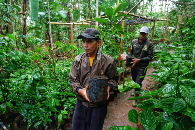 Petani membawa bibit alpukat varietas unggul untuk ditanam di area perkebunan Desa Tonasa, Kecamatan Tombolopao, Kabupaten Gowa.