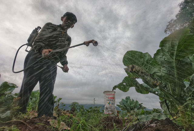 Petani menyiram tanaman sayurnya di Desa Tonasa, Kecamatan Tombolopao, Kabupaten Gowa.