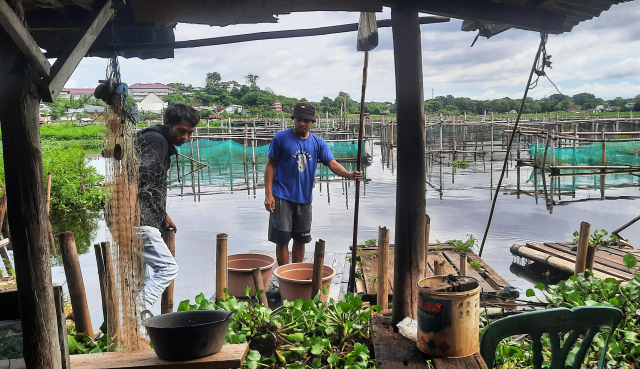 Petani ikan memanfaatkan keramba apung serta kolam-kolam tradisional di sekitar danau untuk mengembangkan usaha ini.