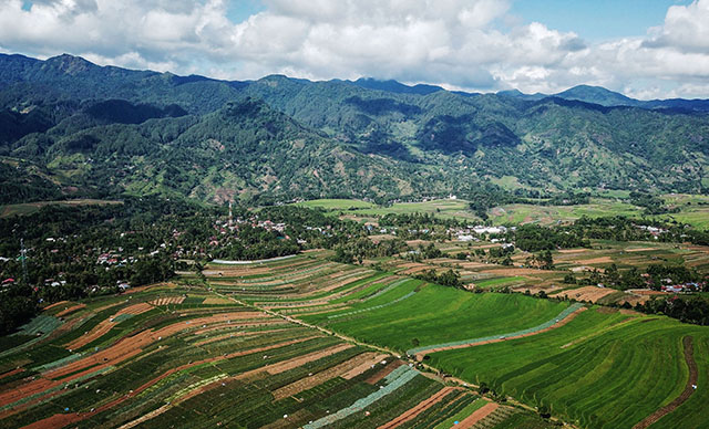 Para petani di Desa Tonasa optimis dapat terus meningkatkan produktivitas pertanian mereka dan memperbaiki taraf hidup mereka di masa mendatang.