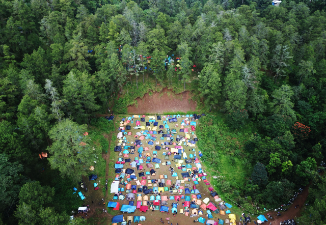 Ribuan tenda warna-warni terlihat memenuhi lereng kawasan pinus yang sejuk dan asri, menciptakan pemandangan yang memikat di tengah alam pegunungan.