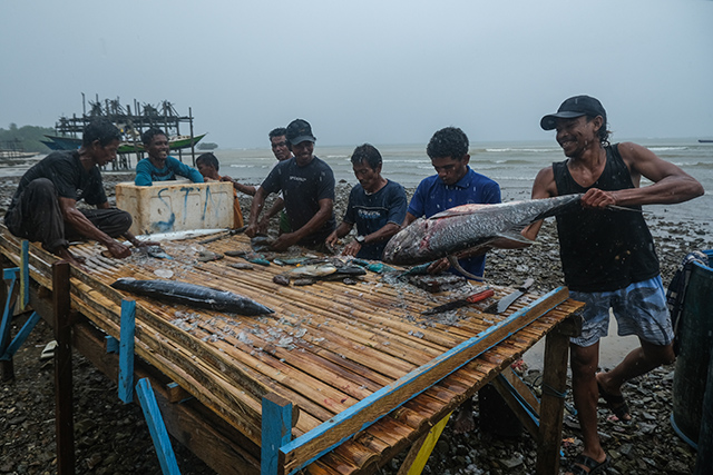 Hasil tangkapan ikan nelayan di Desa Soligi, Pulau Obi, Halmahera Selatan, Maluku Utara, Rabu (17/9/2025). Harita Nickel mendukung pengembangan Sentra Usaha Tani Nelayan (SUTAN) yakni Pemberdayaan kapasitas, mendirikan pusat bagi komunitas nelayan, serta memperkuat akses distribusi hasil tangkapan.