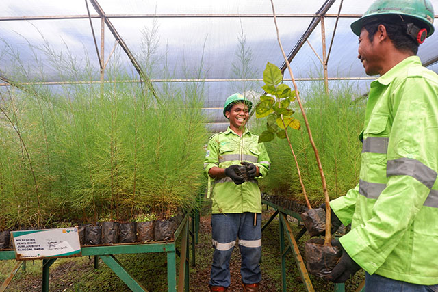 Aktivitas kru Enviro Harita Nickel di area Pusat Pembibitan Tanaman untuk Reklamasi (Nursery), Pulau Obi, Maluku Utara, Selasa (16/9/2025).