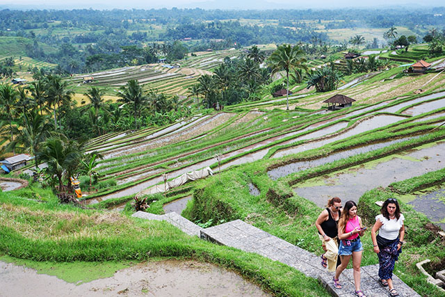 Wisatawan mancanegara berjalan menyusuri area persawahan terasering di Daya Tarik Wisata (DTW) Jatiluwih, Kecamatan Penebel, Kabupaten Tabanan, Bali.