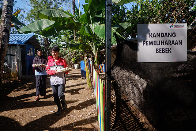 Petugas Pertamina Patra Niaga bersama anggota Kelompok Laleng Kassie membawa hasil telur bebek dari kandang pemeliharaan di Desa Baji Mangngai, Kecamatan Mandai, Kabupaten Maros, Sulawesi Selatan, Selasa (02/09/2025). Kegiatan ini merupakan bagian dari program Pertamina Peduli yang mendukung pengembangan ekonomi sirkular melalui budidaya bebek petelur berbasis limbah organik.