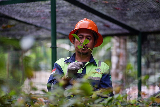 Seorang pekerja merawat bibit tanaman di area pembibitan Antam Tbk UBPE Pongkor, Kabupaten Bogor, Kamis (16/10/2025).