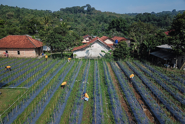 Antam Perkuat Dampak Sosial: Menambang Potensi, Menggerakkan Ekonomi di Pongkor