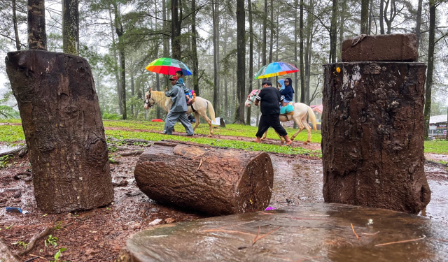 Wahana berkuda ini menjadi salah satu daya tarik wisata alam Malino dengan tarif Rp30.000 per orang untuk sekali putaran.