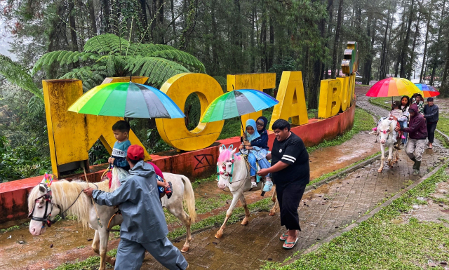 Wisatawan menikmati aktivitas berkuda mengelilingi kawasan hutan pinus Malino, Kabupaten Gowa, Sulawesi Selatan.