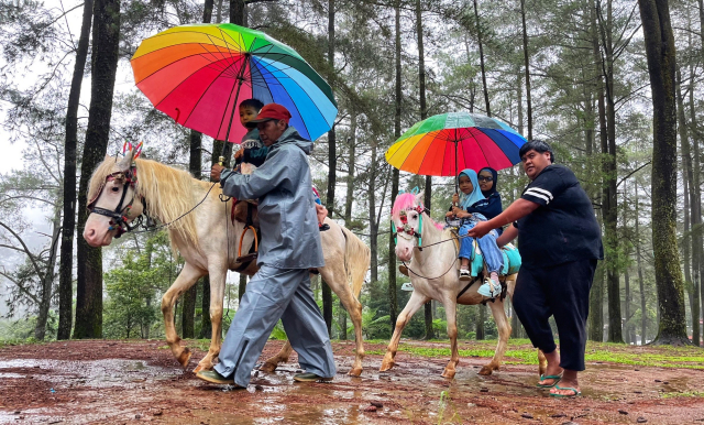 Wisatawan menikmati aktivitas berkuda mengelilingi kawasan hutan pinus Malino, Kabupaten Gowa.