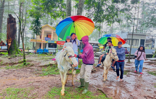Wisatawan menikmati aktivitas berkuda mengelilingi kawasan hutan pinus Malino, Kabupaten Gowa.