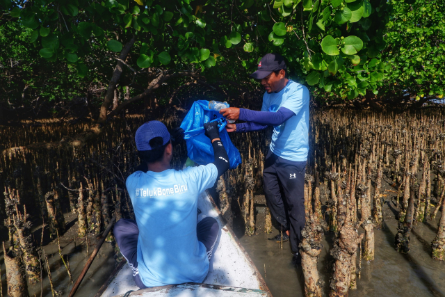 Salah satu program Literasea merawat mangrove di sekitar muara Teluk Bone untuk melindungi pesisir dan menyerap karbon.