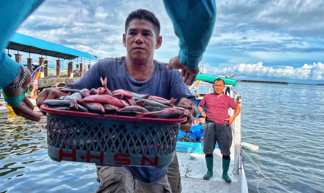 Cuaca Buruk Picu Kenaikan Harga, Aktivitas di TPI Paotere Tetap Padat