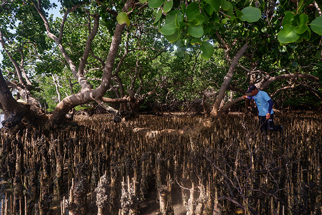 Kegiatan ini menjadi langkah awal program Bersih Sungai yang bertujuan menahan laju sampah plastik sebelum mencapai laut, sekaligus menjaga keberlanjutan ekosistem mangrove di pesisir Teluk Bone.