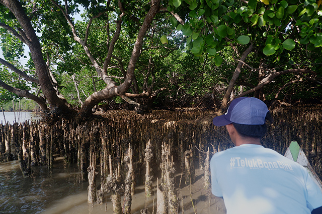 Kegiatan ini menjadi langkah awal program Bersih Sungai yang bertujuan menahan laju sampah plastik sebelum mencapai laut, sekaligus menjaga keberlanjutan ekosistem mangrove di pesisir Teluk Bone.