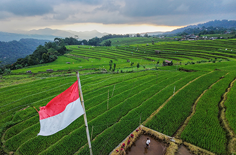 Hamparan persawahan terasering menghijau di Kelurahan Bulutana, Kecamatan Tinggimoncong, Kabupaten Gowa, Sabtu (19/4/2026). Lanskap pertanian di kawasan dataran tinggi tersebut menjadi salah satu penopang ketahanan pangan sekaligus menghadirkan panorama alam khas pegunungan Sulawesi Selatan.