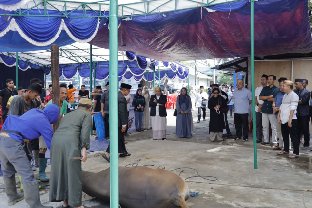 PT Pelabuhan Indonesia (Persero) Regional 4 menyalurkan 35 ekor sapi kurban secara serentak di seluruh wilayah kerja Regional 4 dalam rangka Hari Raya Iduladha 1447 Hijriah/2026. Dok Foto. Pelindo Regional 4