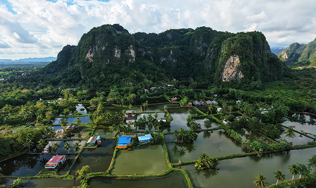 Kawasan karst yang merupakan bagian dari bentang alam karst terbesar ketiga di dunia ini menjadi salah satu destinasi wisata unggulan sekaligus kawasan konservasi yang menyimpan keanekaragaman hayati serta nilai geologi penting.