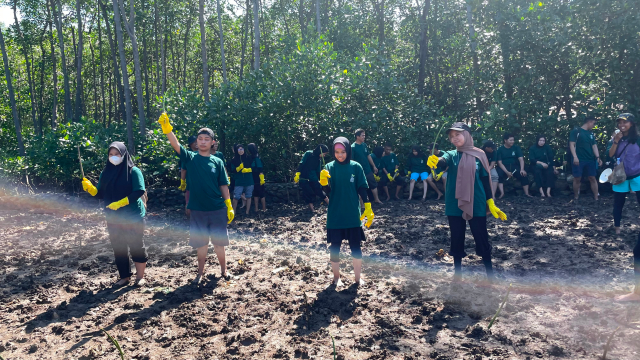 50 Difabel Netra Ikuti Penanaman Mangrove di Pesisir Lantebung Makassar