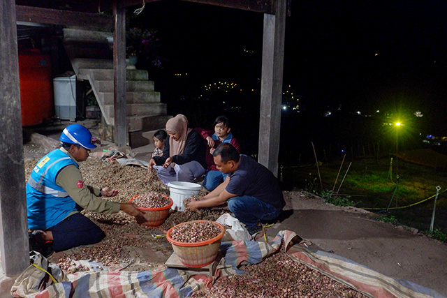 Petugas PLN berbincang dengan petani bawang merah saat proses sortasi hasil panen di Kabupaten Enrekang, Sulawesi Selatan, Rabu (10/6/2026).