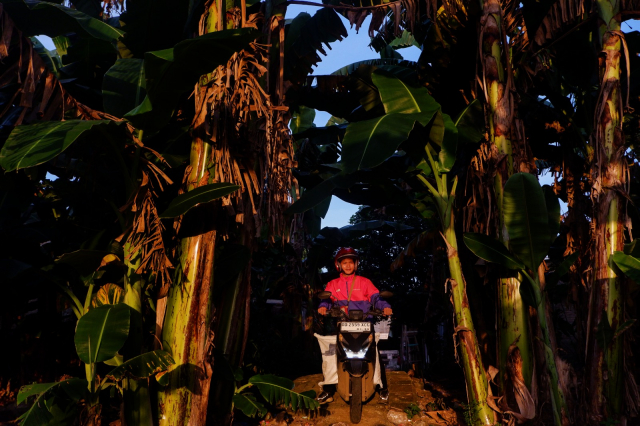 Di bawah rindangnya kebun pisang yang menaungi jalan sempit di pelosok Desa Moncongloe Boko, Kabupaten Maros, Sulawesi Selatan, Rudhy, kurir JNE, terus melaju mengantarkan paket kepada pelanggan, Minggu (14/6/2026). Bagi sebagian orang, kiriman mungkin hanya sebuah paket. Namun bagi penerimanya, bisa jadi itu adalah bahan usaha yang dinanti, hadiah untuk keluarga, atau bagian dari mimpi yang sedang diperjuangkan.