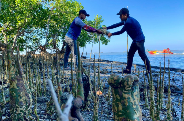 Aksi tersebut digelar Literasea dalam rangka memperingati Hari Mangrove Sedunia dengan fokus menyelamatkan mangrove dewasa dari ancaman sampah plastik dan alat tangkap yang terbengkalai.