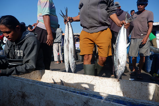 Warga mengangkut hasil tangkapan ikan yang dibawa kapal rakyat di Dermaga Kayu Bangkoa.