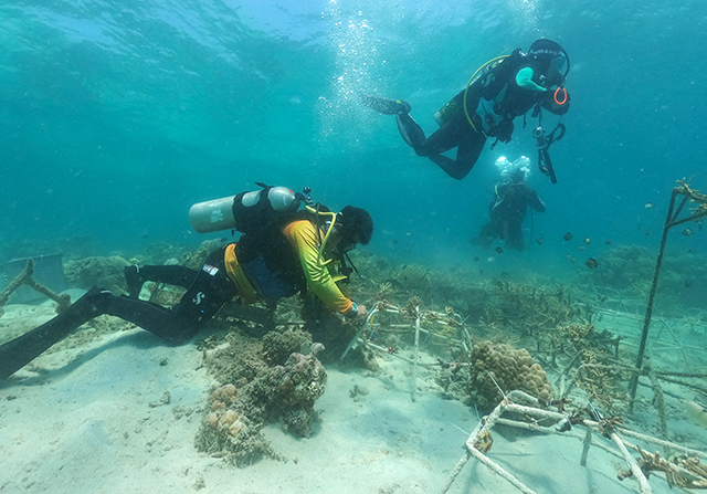 Kegiatan tersebut juga diisi dengan aksi adopsi dan transplantasi terumbu karang sebagai bentuk kepedulian terhadap kelestarian ekosistem laut sekaligus upaya memulihkan terumbu karang Indonesia demi keberlanjutan lingkungan bagi generasi mendatang.