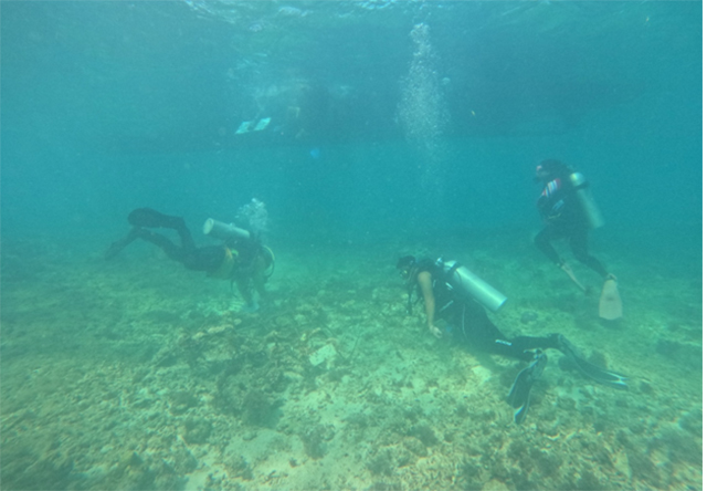 Uni Dive bersama Jaringan Adopsi Karang Indonesia (JARI), GGI SCUBA, dan Politeknik Kelautan dan Perikanan (Poltek KP) Bone menggelar pemantauan kesehatan terumbu karang sekaligus memperluas area restorasi, Selasa (25/8/2026).
