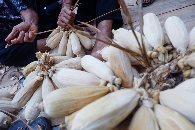 Warga merangkai jagung hasil panen menjadi ikatan menggunakan bahan alami dalam Festival Selayar Tempo Doeloe 2026.